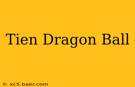 Tien Dragon Ball