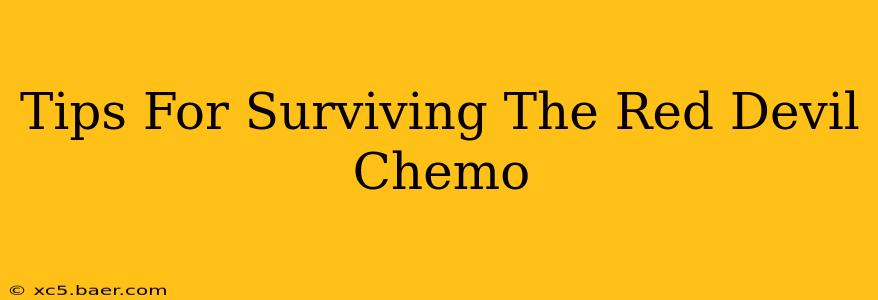 Tips For Surviving The Red Devil Chemo