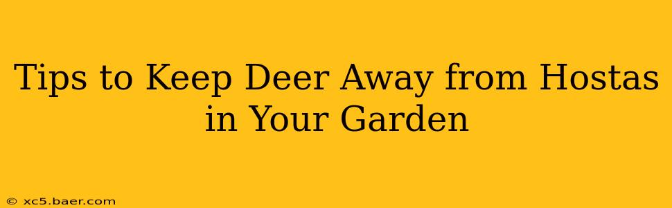 Tips to Keep Deer Away from Hostas in Your Garden