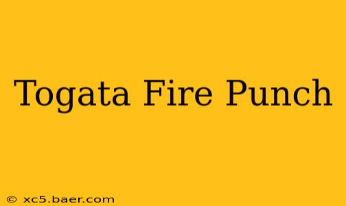 Togata Fire Punch