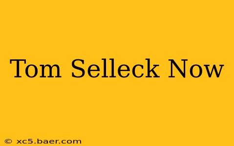 Tom Selleck Now