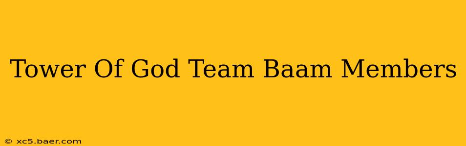 Tower Of God Team Baam Members
