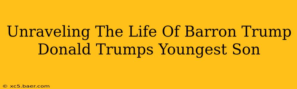 Unraveling The Life Of Barron Trump Donald Trumps Youngest Son