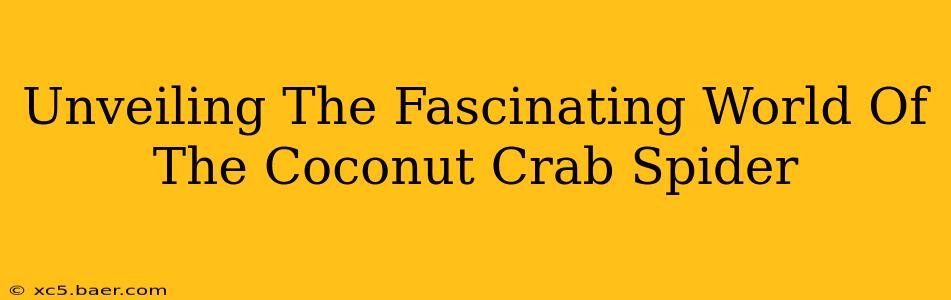 Unveiling The Fascinating World Of The Coconut Crab Spider