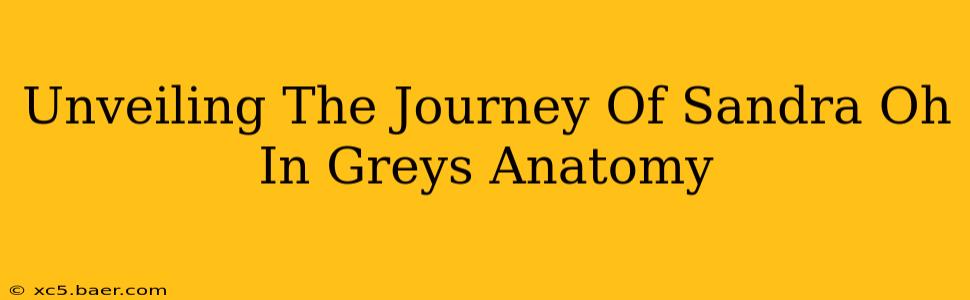Unveiling The Journey Of Sandra Oh In Greys Anatomy