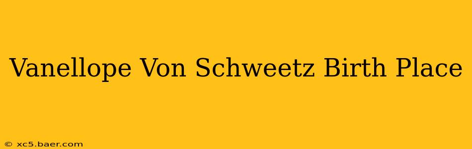 Vanellope Von Schweetz Birth Place