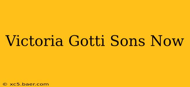 Victoria Gotti Sons Now