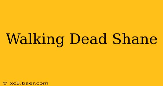 Walking Dead Shane