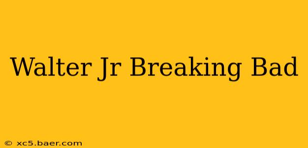 Walter Jr Breaking Bad