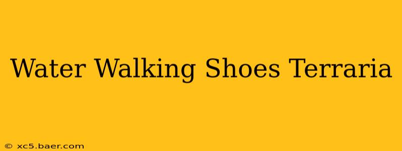 Water Walking Shoes Terraria