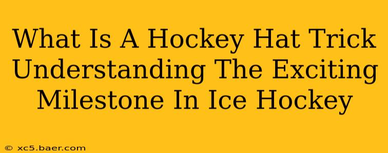 What Is A Hockey Hat Trick Understanding The Exciting Milestone In Ice Hockey
