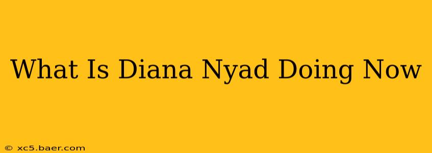 What Is Diana Nyad Doing Now