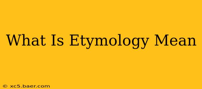What Is Etymology Mean