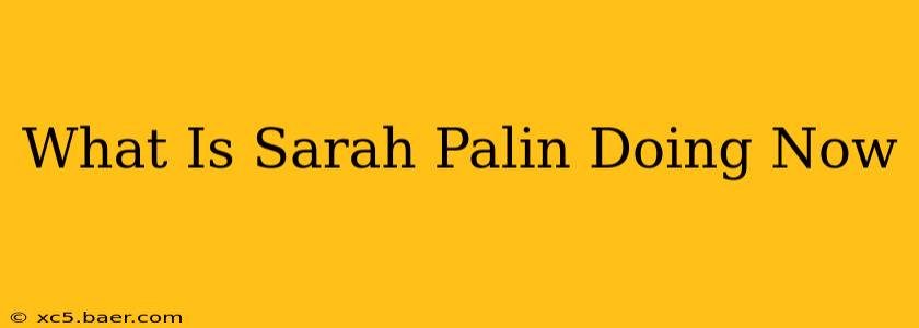 What Is Sarah Palin Doing Now