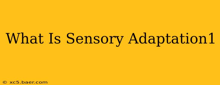 What Is Sensory Adaptation1