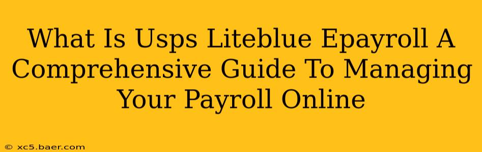 What Is Usps Liteblue Epayroll A Comprehensive Guide To Managing Your Payroll Online