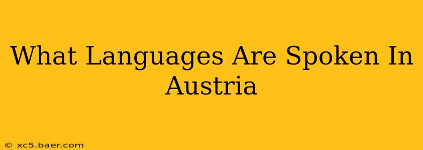 What Languages Are Spoken In Austria