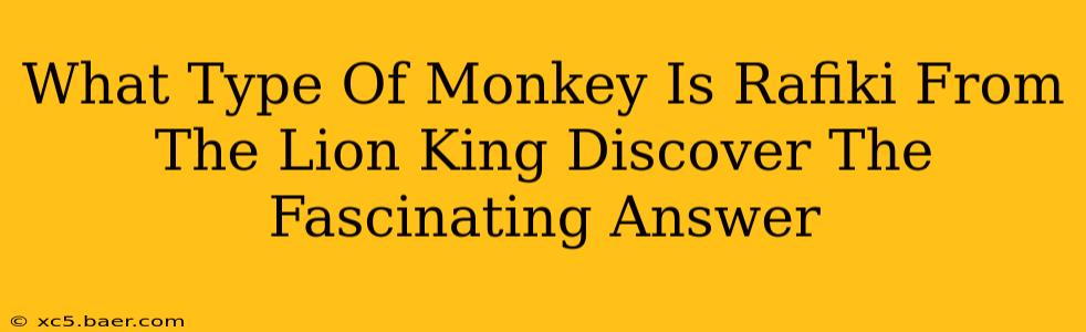 What Type Of Monkey Is Rafiki From The Lion King Discover The Fascinating Answer