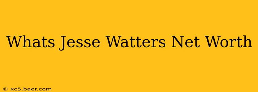 Whats Jesse Watters Net Worth