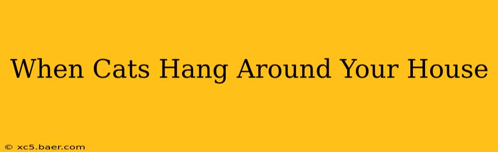 When Cats Hang Around Your House