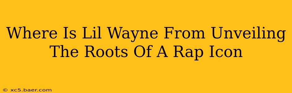 Where Is Lil Wayne From Unveiling The Roots Of A Rap Icon