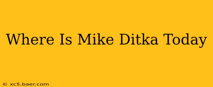 Where Is Mike Ditka Today