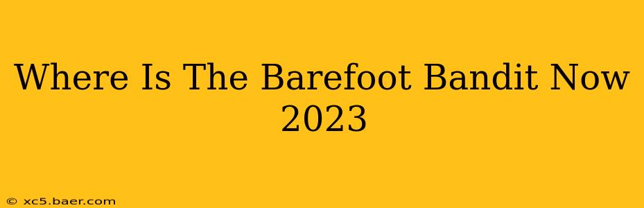 Where Is The Barefoot Bandit Now 2023
