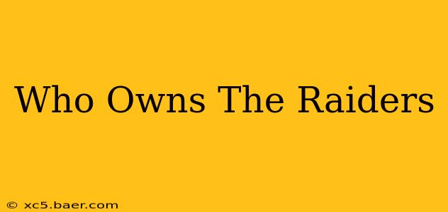 Who Owns The Raiders