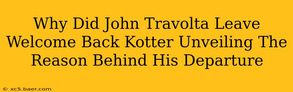 Why Did John Travolta Leave Welcome Back Kotter Unveiling The Reason Behind His Departure