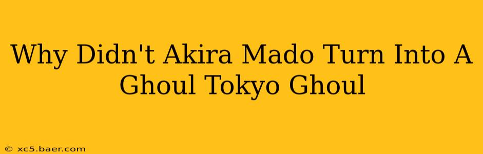 Why Didn't Akira Mado Turn Into A Ghoul Tokyo Ghoul