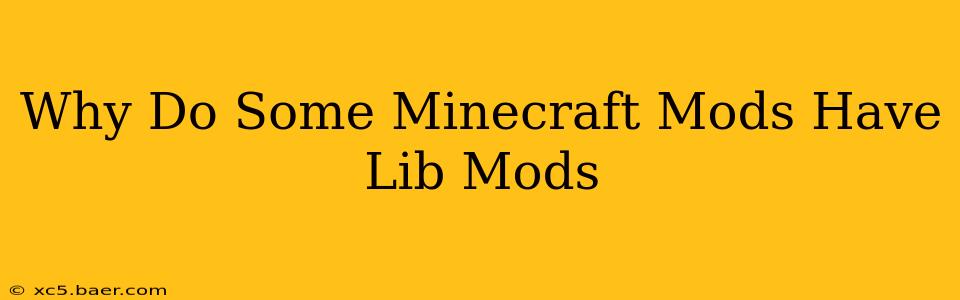 Why Do Some Minecraft Mods Have Lib Mods