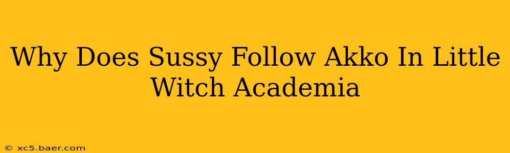 Why Does Sussy Follow Akko In Little Witch Academia