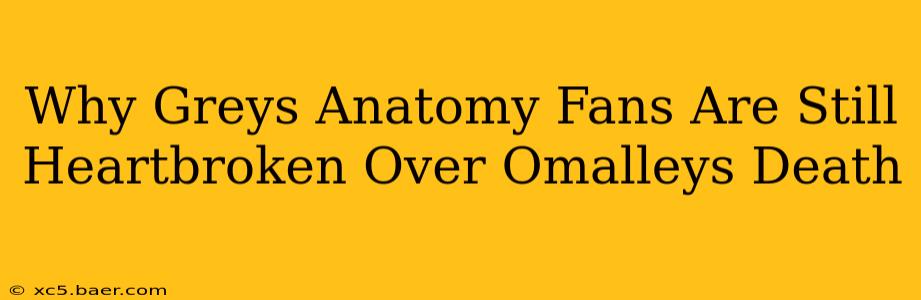 Why Greys Anatomy Fans Are Still Heartbroken Over Omalleys Death