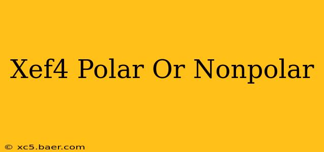 Xef4 Polar Or Nonpolar