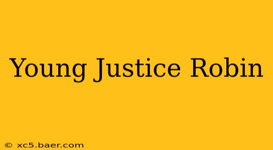Young Justice Robin