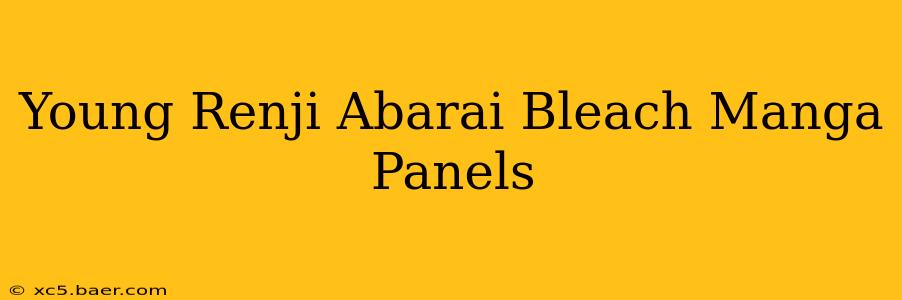 Young Renji Abarai Bleach Manga Panels