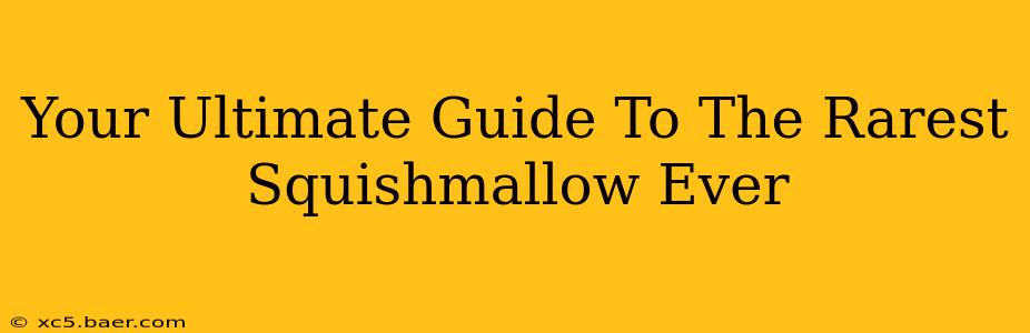 Your Ultimate Guide To The Rarest Squishmallow Ever