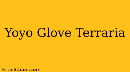 Yoyo Glove Terraria